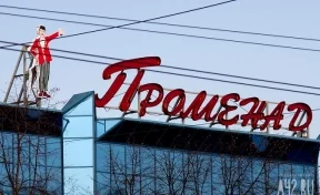 В Кемерове части двух крупных ТЦ выставили на продажу почти за 68 млн рублей