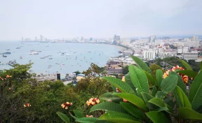 Khaosod: в Таиланде из-за опрокидывания автобуса пострадали 30 человек