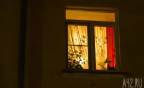 Биолог рассказал, почему вылетевшие в открытые окна попугаи не могут вернуться домой