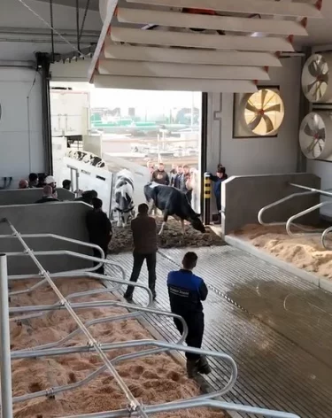 Фото, видео: <a href=https://t.me/ilyaseredyuk/9781>Илья Середюк</a> / Телеграм