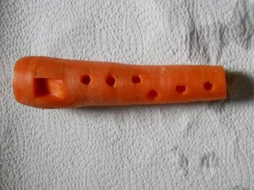 Фото: Пользователей Сети удивила флейта из моркови 1