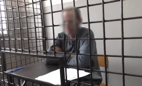 Изнасиловал, забросал тела матрасами: СК раскрыл подробности убийства девочек в Кузбассе
