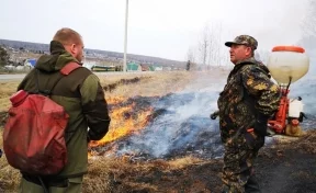 В Кузбассе зафиксировали 57 возгораний почвы за день