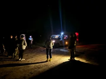 Фото: В юргинском лесу пропали две женщины: с их поиском возникли трудности 1
