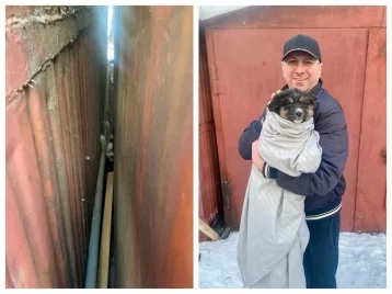 Фото: Новокузнецкие спасатели помогли собаке, застрявшей между гаражами 1