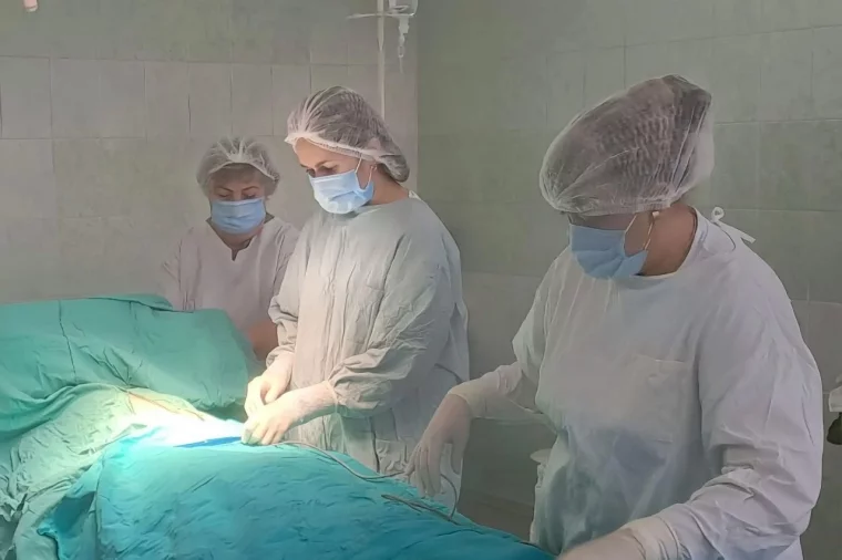 Фото: Червяк в глазу, гидравлический пенис и мочевой пузырь из кишки. Уникальные операции 2025 года в Кузбассе 5