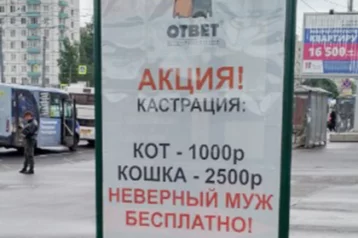 Фото: В Петербурге рекламу бесплатной кастрации неверных мужей сочли оскорбительной 1