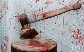 Квартирант изрубил топором возмущённого кузбассовца