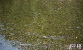 В Кузбассе размыв дамбы привёл к загрязнению реки золотодобытчиками 