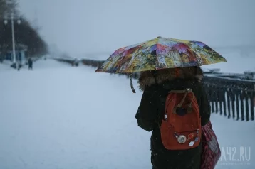 Фото: Дожди и +10: синоптики дали прогноз на конец марта в Кузбассе 1