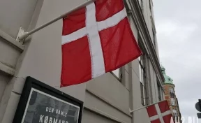 В Копенгагене мужчина напал на премьер-министра Дании