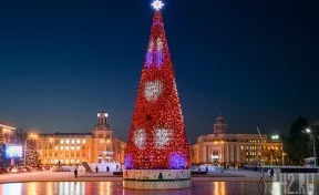 В Роспотребнадзоре порекомендовали кузбассовцам отметить Новый год дома