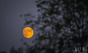 Orion завершил облёт Луны и возвращается на Землю