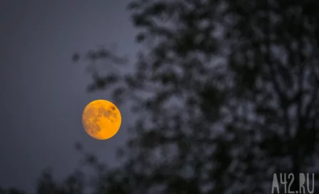 Orion завершил облёт Луны и возвращается на Землю