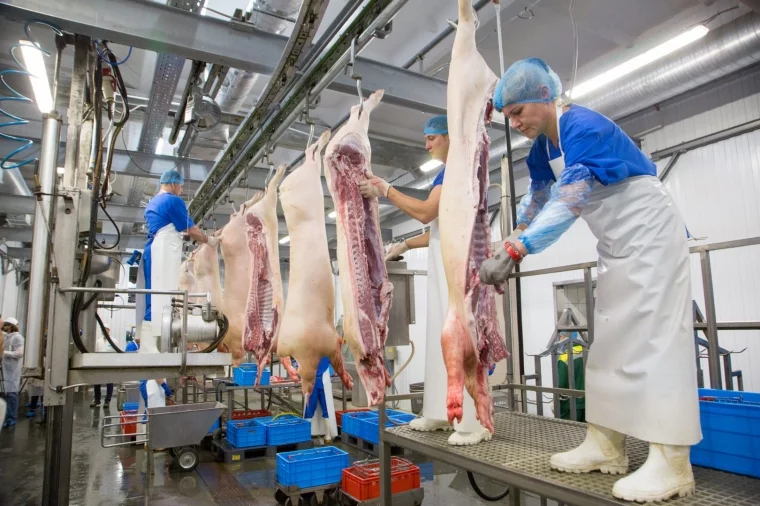 У «Аграрной группы» два предприятия мясопереработки – в Томске и Кемерове, благодаря чему потребитель может получить широкий ассортимент, от ливерной колбасы до копчёной. Другой сильный момент – свое сырьё. Есть возможность выбора, бесперебойной работы, а это важно. В 2014 году мясная отрасль испытала существенные потрясения, когда закрыли Европу и другие страны (в частности, Канаду), и у производителей возникли проблемы с сырьём.