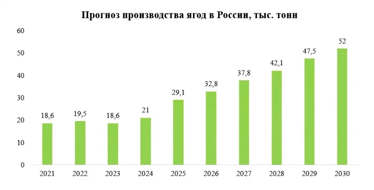 Фото: РСХБ назвал главные ягоды россиян и спрогнозировал динамику их рынка до 2030 2