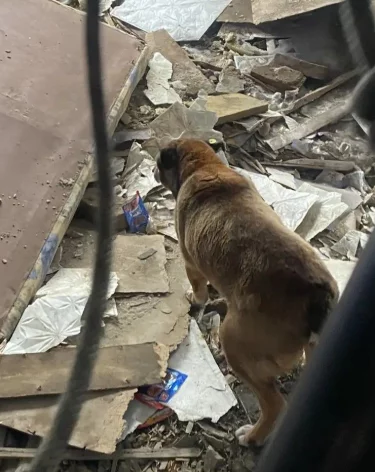 Фото: <a href=https://vk.com/feed?w=wall-198880403_1281>Кемеровская служба спасения</a> / «ВКонтакте»