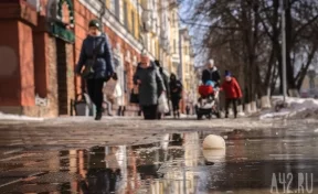 Синоптики прокомментировали февральское потепление в Кузбассе