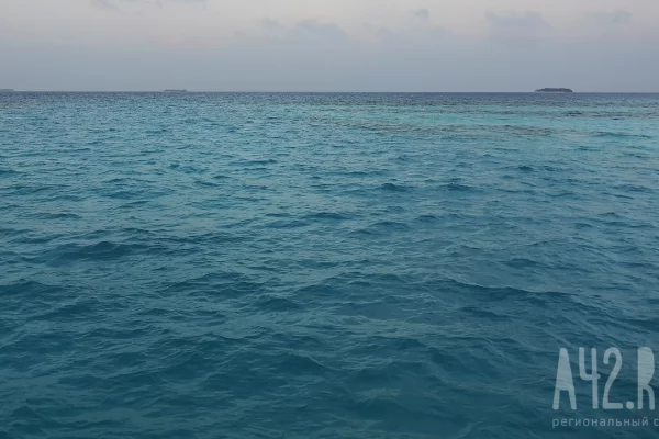 Океанолог предупредил об угрозе прибрежным городам России