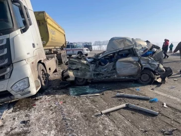 Фото: Хинштейн назвал причину массовой аварии под Курском, в которой погибли четыре человека 2