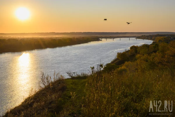 В Кузбассе суд обязал золотодобытчиков восстановить нарушенные земли