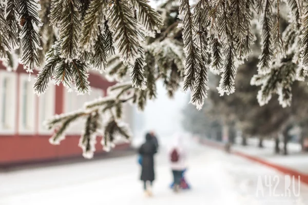 Синоптик Вильфанд: снег лёг на 75% территории России