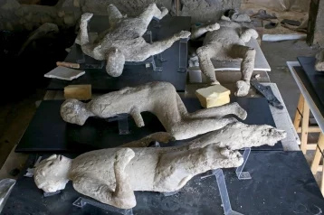 Фото: На руинах Помпеи нашли жертву извержения Везувия со стеклянным мозгом 1