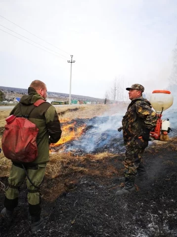 Фото: В Кузбассе зафиксировали 57 возгораний почвы за день 1