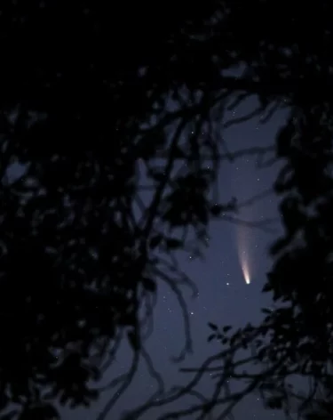 Ночью силы ПВО сбили 33 беспилотника, из них 13 — в Белгородской области