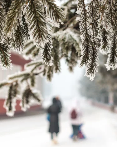 Синоптик Вильфанд: снег лёг на 75% территории России