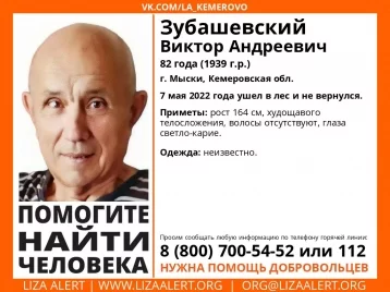 Фото: Ушёл в лес и не вернулся: в Кузбассе объявили поиски 82-летнего мужчины 1