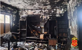 В Кузбассе мужчина поджёг дом и машину своего сына, чтобы отомстить за побои