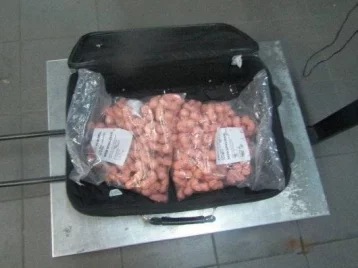 Фото: В Ленобласти таможенники обнаружили у женщины чемодан с 200 моделями эмбриона человека 1