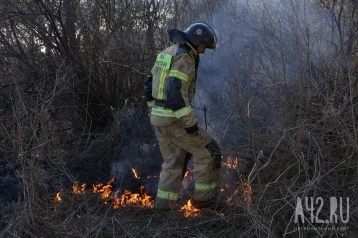 Фото: Площадь лесного пожара в Геленджике увеличилась до 118 гектаров 1