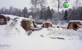 В лесу Кировской области появились дома хоббитов и Шрека