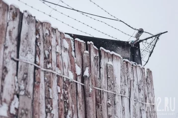 Фото: Житель Кузбасса получил 8 лет колонии за сбыт амфетамина 1