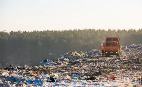 В Нижнем Тагиле при сортировке мусора нашли гранатомёт и патроны
