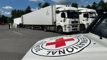 Фото: Украинской стороне передали более 6 000 тел офицеров и солдат, сообщил Мединский 1