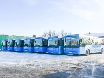 Фото: Кузбасс планирует заключить контракты на поставку более 500 автобусов 1