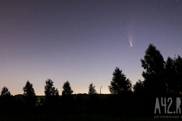 Силы ПВО за ночь сбили около 60 БПЛА над регионами России и Чёрным морем