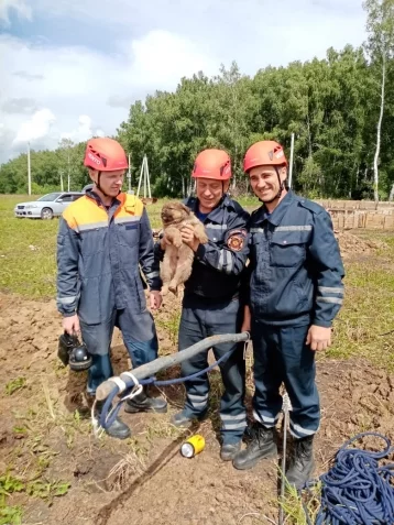 Фото: В Кузбассе спасатели достали щенка из трёхметровой выработки 1