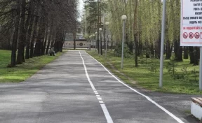 В Кемерове на всех велодорожках обновили разметку