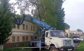 Власти Кемерова прокомментировали инцидент с упавшим деревом, которое повредило крышу дома