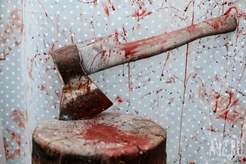 Фото: Квартирант изрубил топором возмущённого кузбассовца 1