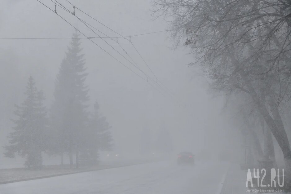 Эксперт: новый южный циклон со снегом и метелями придёт в Санкт-Петербург