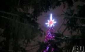 Главная красавица Кузбасса: новогодняя ёлка на площади Советов