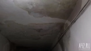 Фото: Кемеровчанин пожаловался на течь крыши в общежитии 5