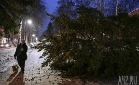 Разгул стихии: последствия штормового ветра в Кемерове
