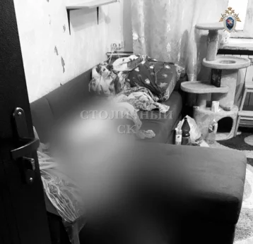 Фото: Москвичку задержали по подозрению в убийстве бывшего мужа 1