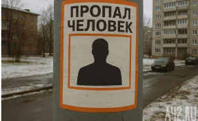 В Санкт-Петербурге неизвестный похитил 9-летнего мальчика